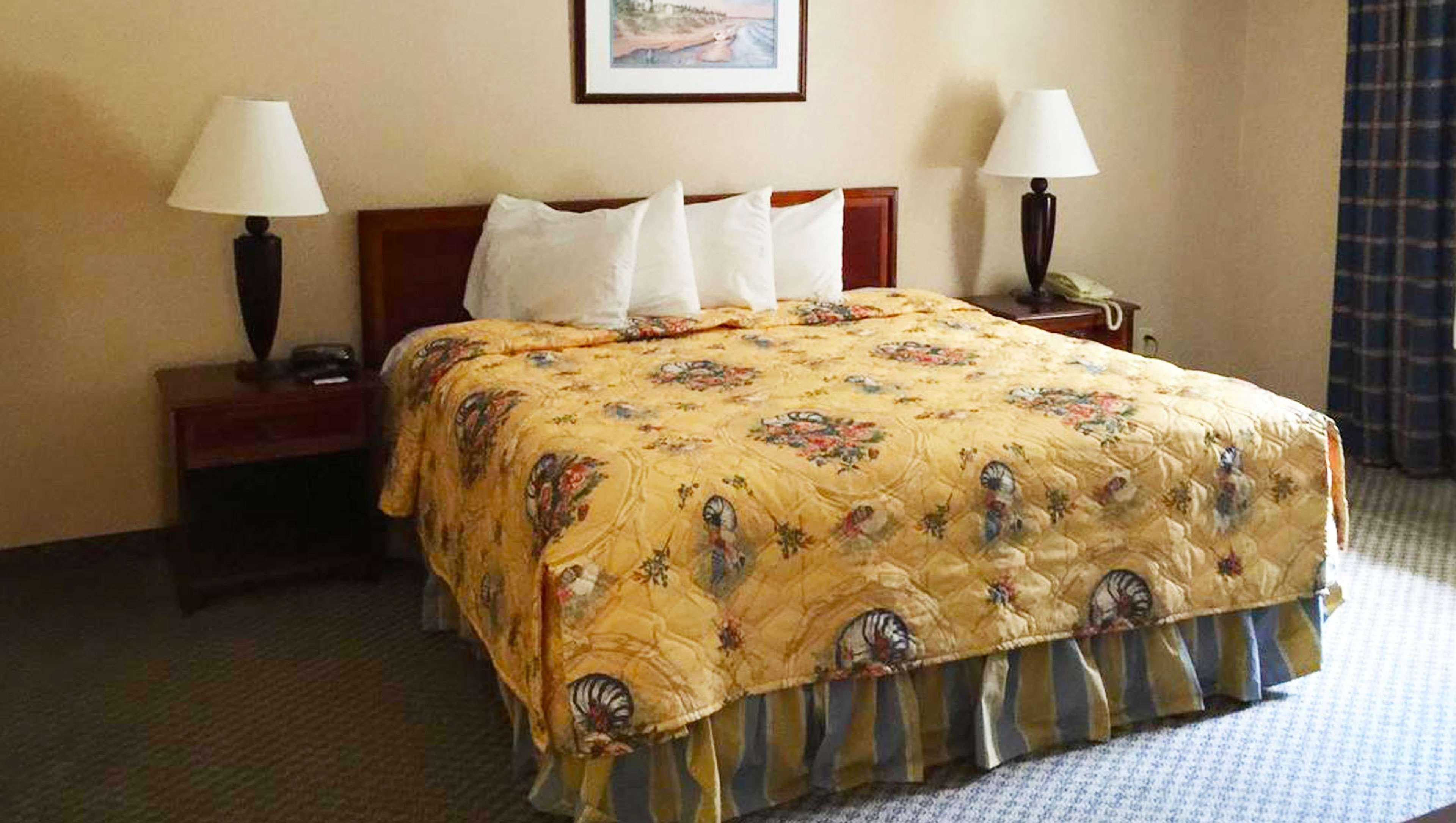 Mayfair Inn Williamston Buitenkant foto